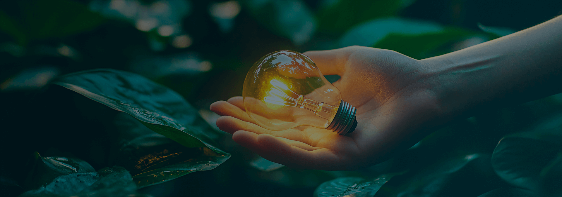 banner-hero-sector-medio-ambiente